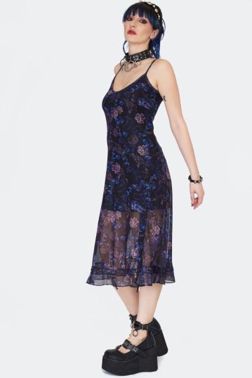 Night Crow Midi Dress Plus Size